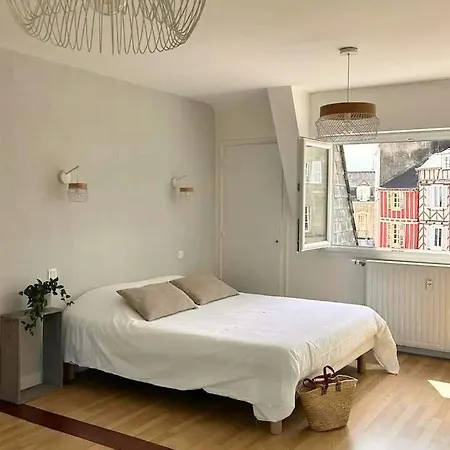 Laroche Grand Duplex Dans Le Centre Historique Avec Garage Vannes